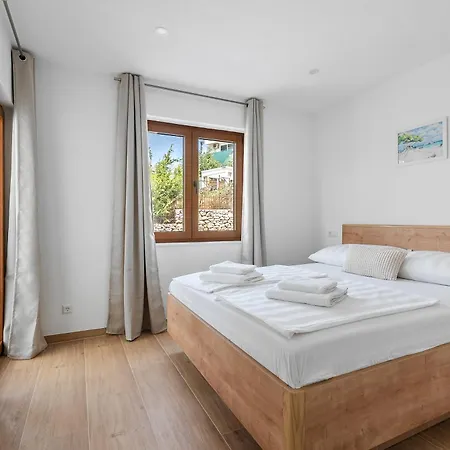 Paladium * トロギール